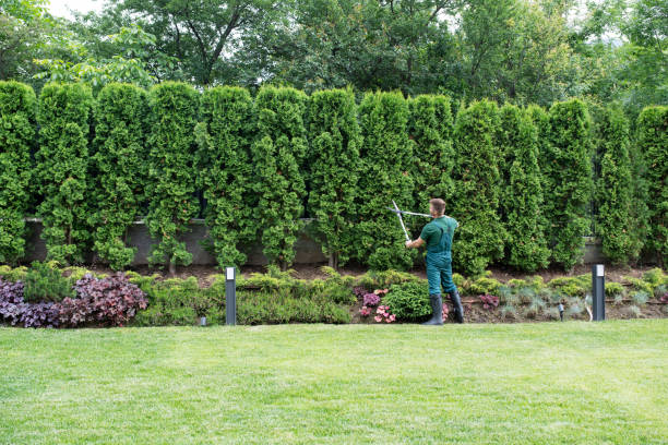 Lawn Maintenance Plans in Jones Creek, TX